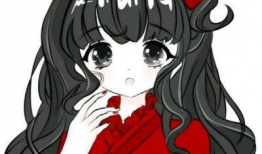 红 动漫,热血动漫的激情岁月